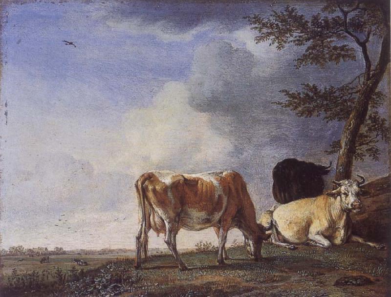 POTTER, Paulus Three Cows in a Pasture